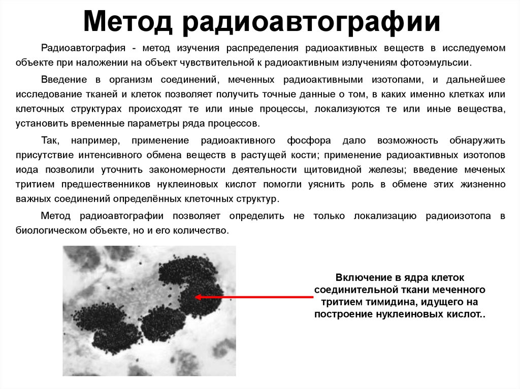 Исследование изотопами