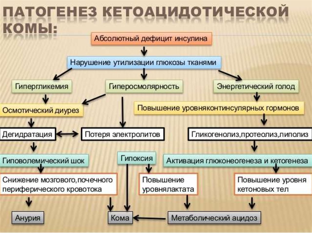 Схема развития диабетических ком