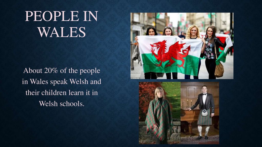 Presentation On The Topic Wales Prezentaciya Onlajn