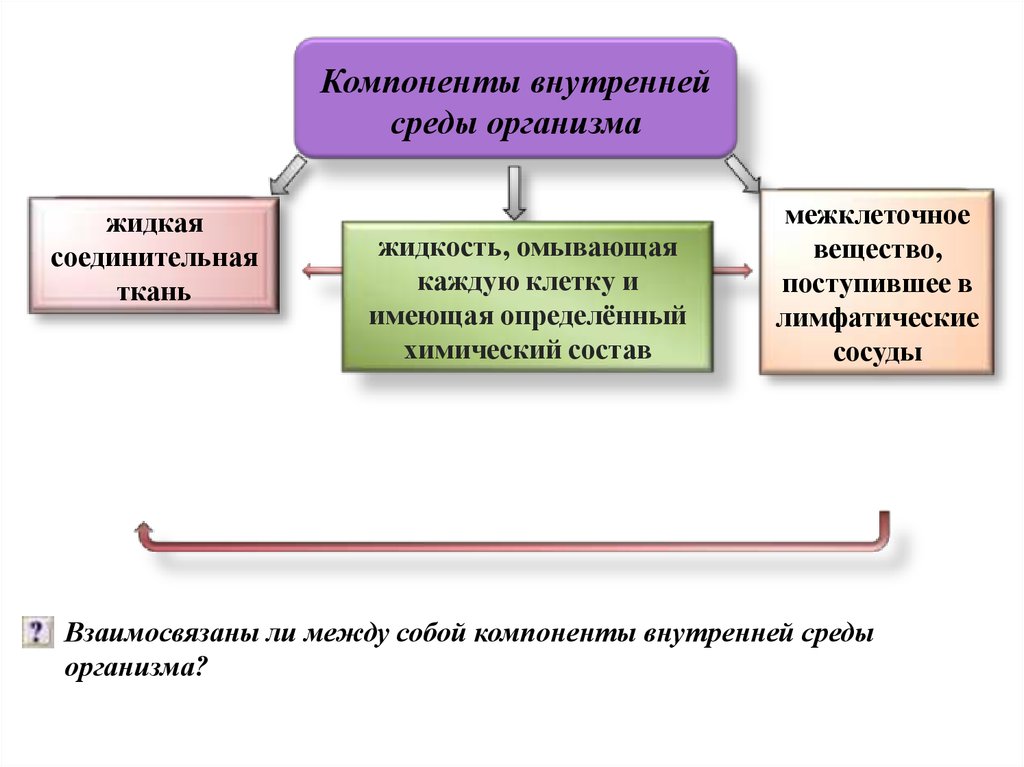 Компоненты внутренней. Компоненты внутренней среды. Взаимосвязаны ли между собой компоненты внутренней среды организма. Компоненты ты внутренней среды организма. Компоненты составляющие внутреннюю среду организма человека список.