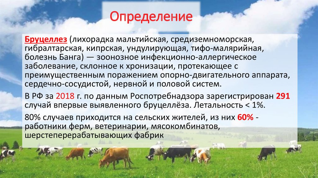 Направление на бруцеллез образец