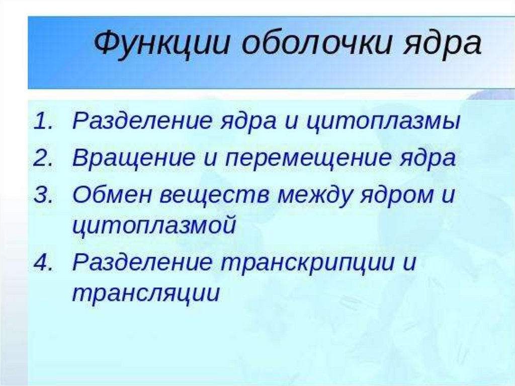 Функции оболочки. Функции ядерной оболочки в клетке. Ядерная мембрана функции в клетке. Ядерная оболочка функции. Ядерная мембрана функции.