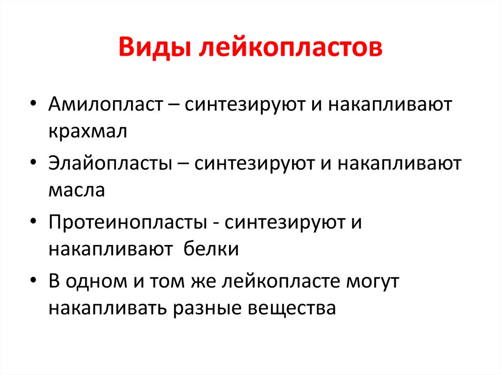 Функция лейкопластов