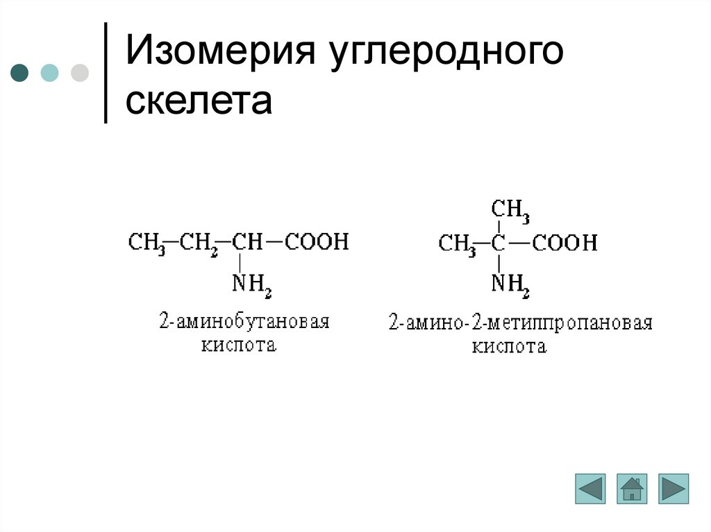 Изомеры углеродного скелета