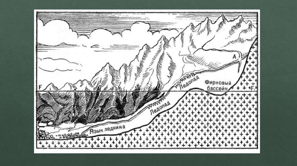 Какой природный процесс отображен на схеме снеговая линия фирновый бассейн
