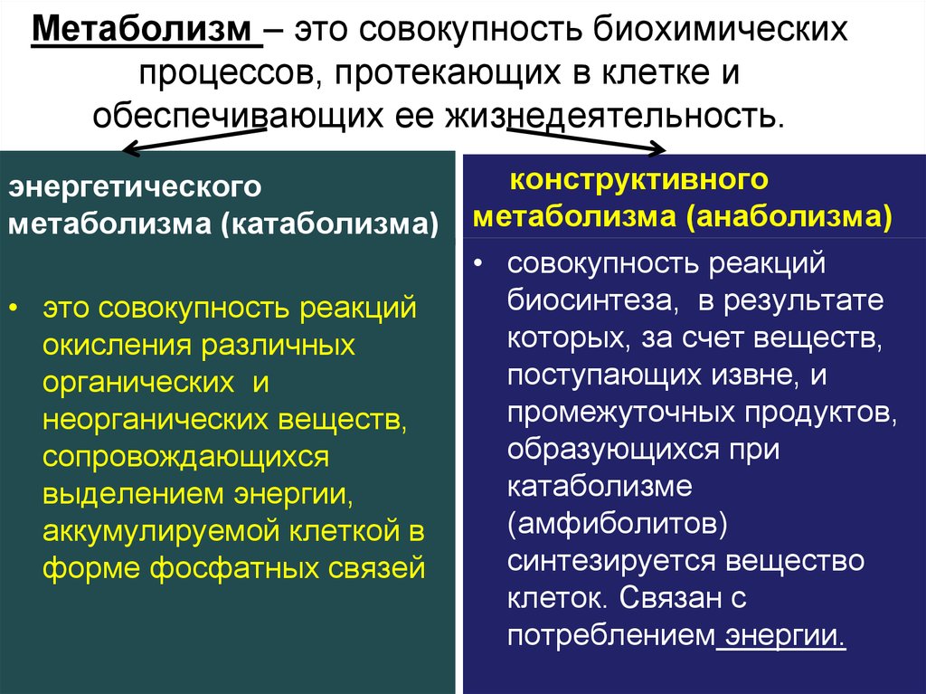 Обмен веществ обеспечивает. Метаболизм. Метаболизм прокариот. Обмен веществ это совокупность процессов. Процессы протекающие в клетке таблица.