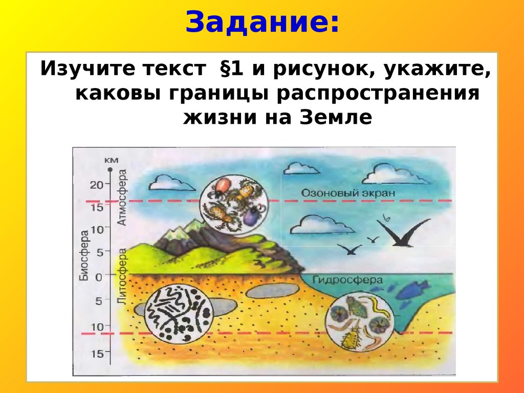 Технологическая карта биология наука о живой природе