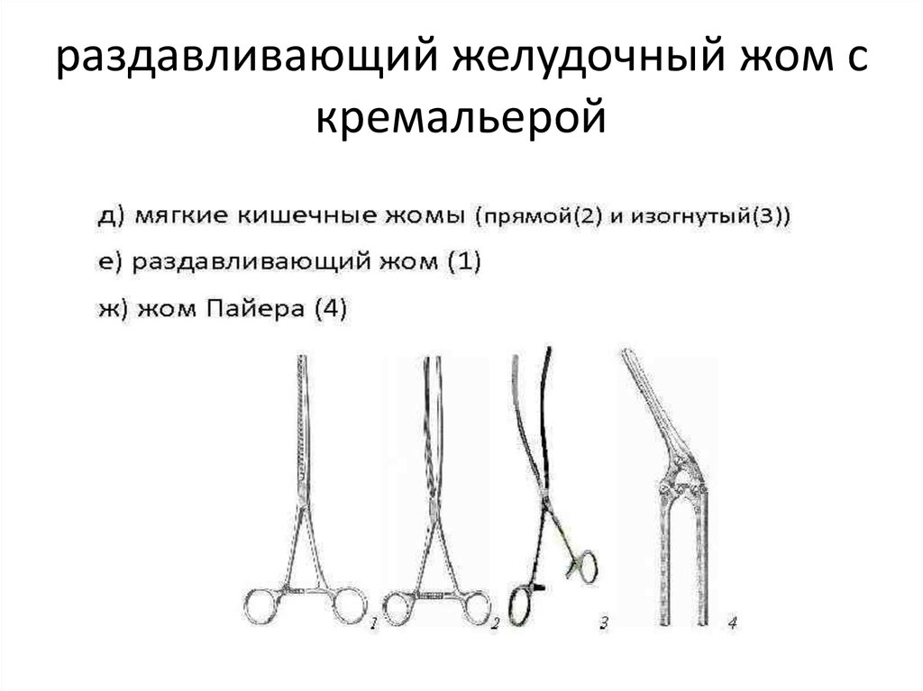 Топографическая анатомия инструменты презентация