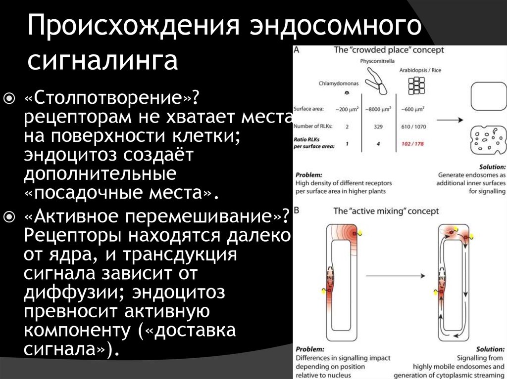 Каким номером обозначена