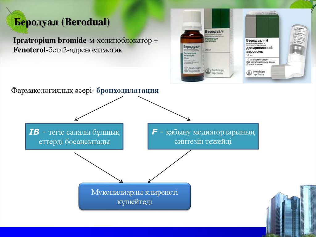 Схема лечения беродуалом