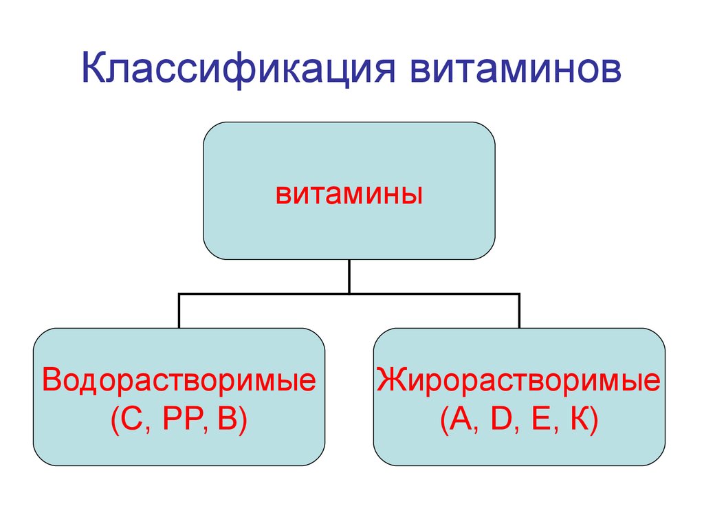 Классификация витаминов