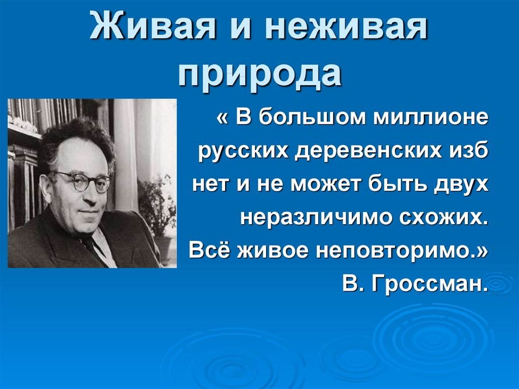 Гроссман биография презентация