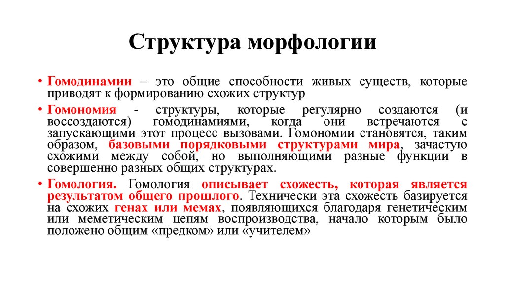 С точки зрения морфологии. Структура морфологии. Структурная морфология. Морфология строение. Состав морфологии.