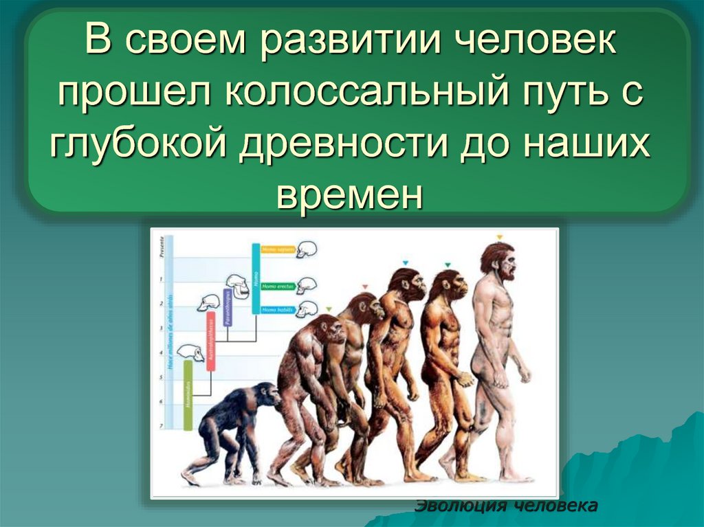 Дайте характеристику растровых изображений ответив кратко на следующие вопросы из каких элементов