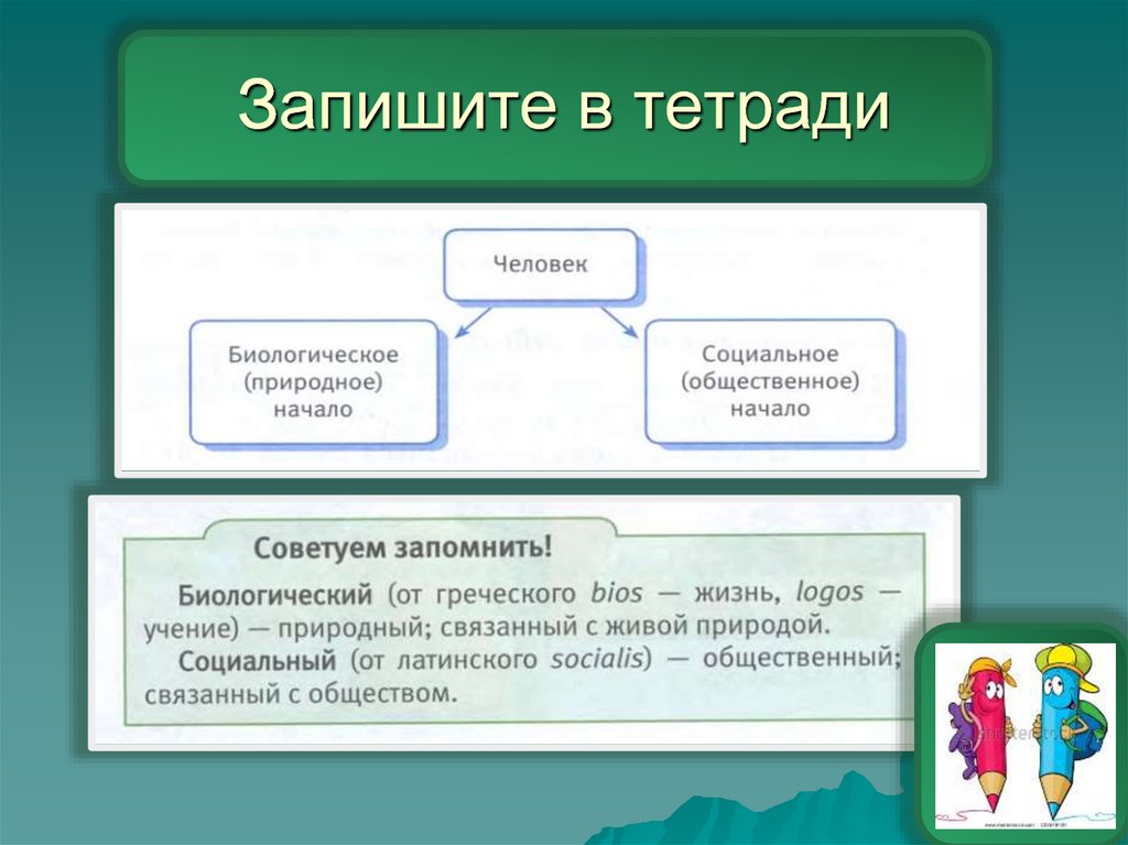 Человек и общество презентация 6 класс