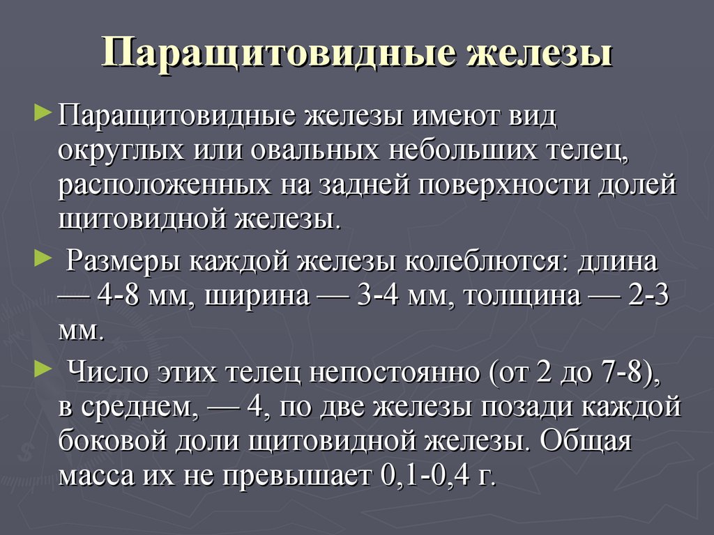 Размеры железы