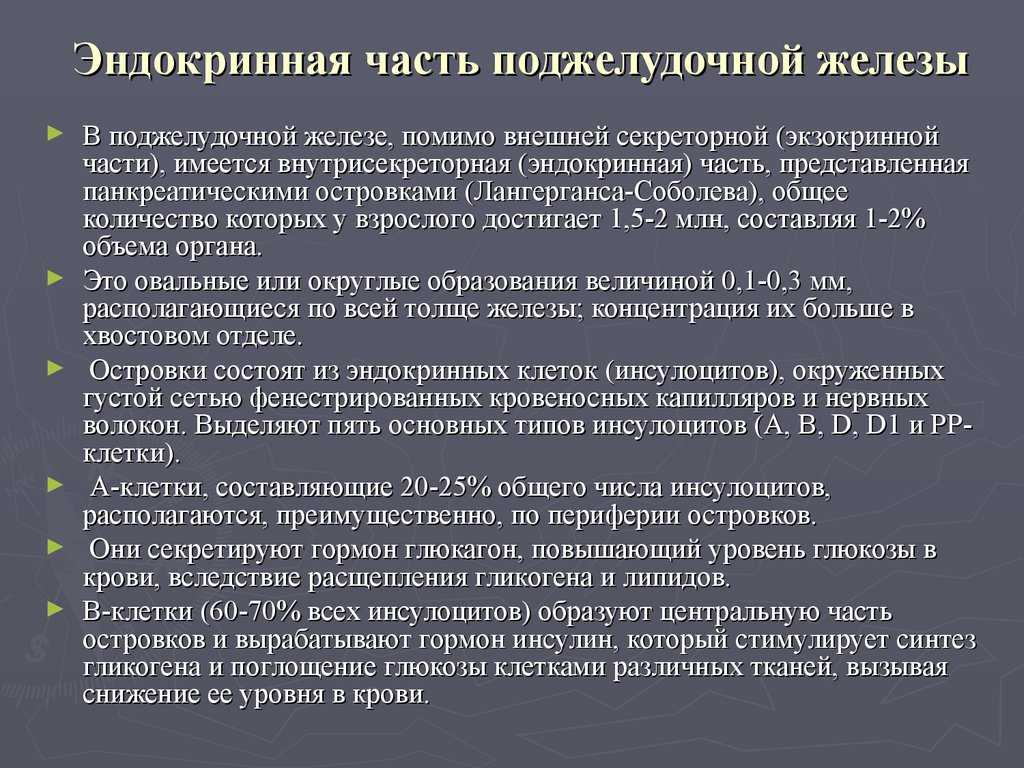 Поджелудочная железа части железы. Эндокринная часть поджелудочной железы. Эндокринная часть поджелудочной железы анатомия. Анатомо функциональные особенности поджелудочной железы. Эндогенная часть поджелудочной железы.