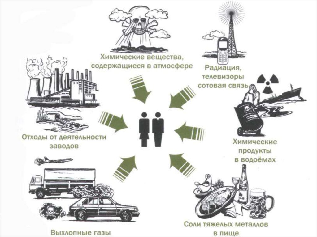 Вредное воздействие химических веществ. Схема воздействия вредных веществ в организм человека. Схема попадания вредных веществ в организм человека. Схема поступления загрязненных веществ в организм человека. Воздействие вредных веществ на человека картинки.