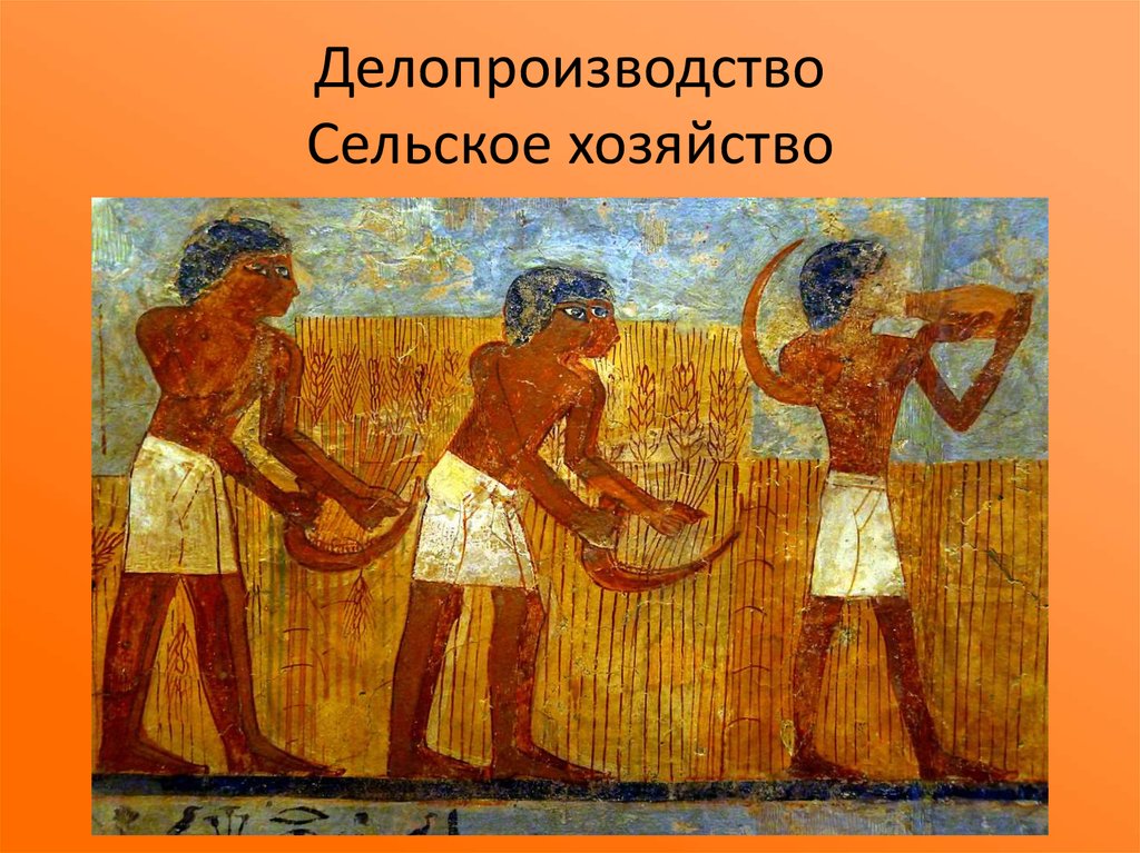 Реферат: Хозяйство Древнего Египта
