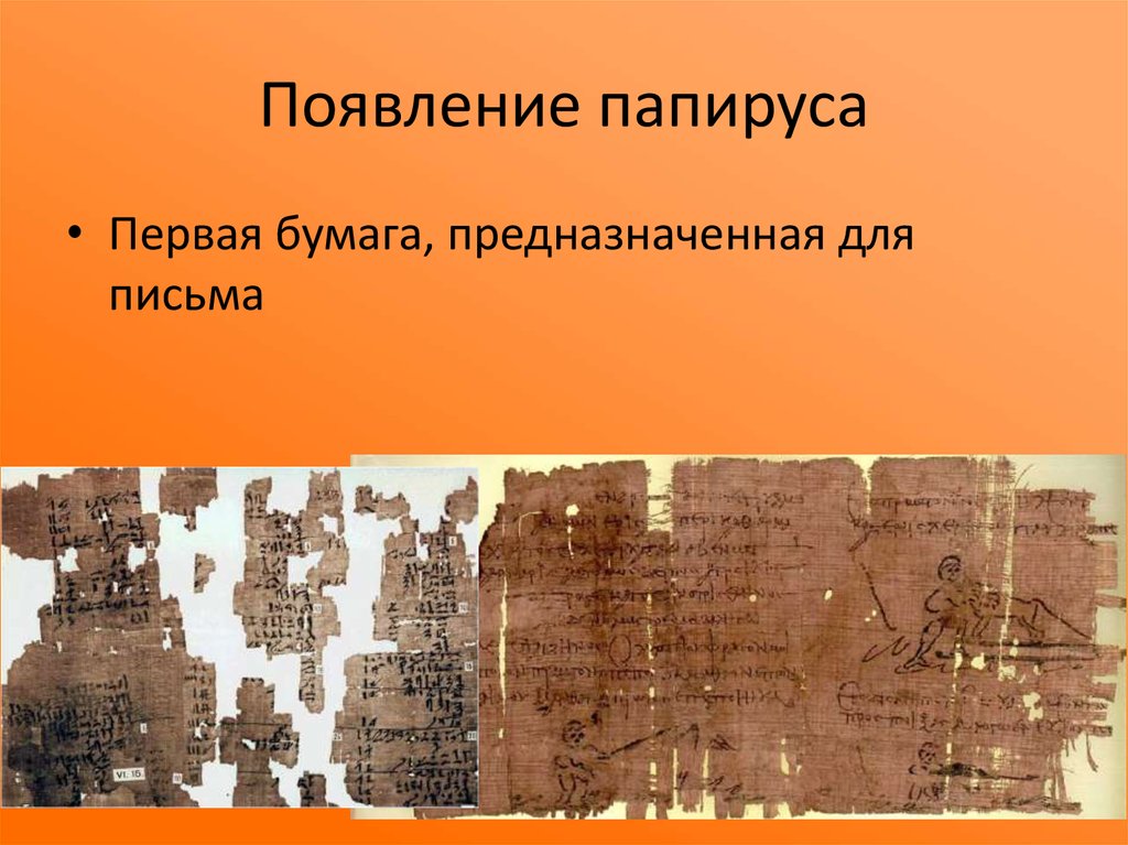 Появление папируса