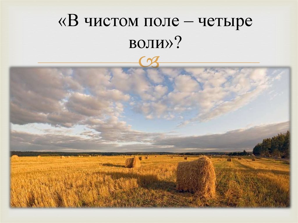 Даст и поле 4. Нива поле. Нива на природе. Осеннее поле пшеницы. Лазурь на поле.