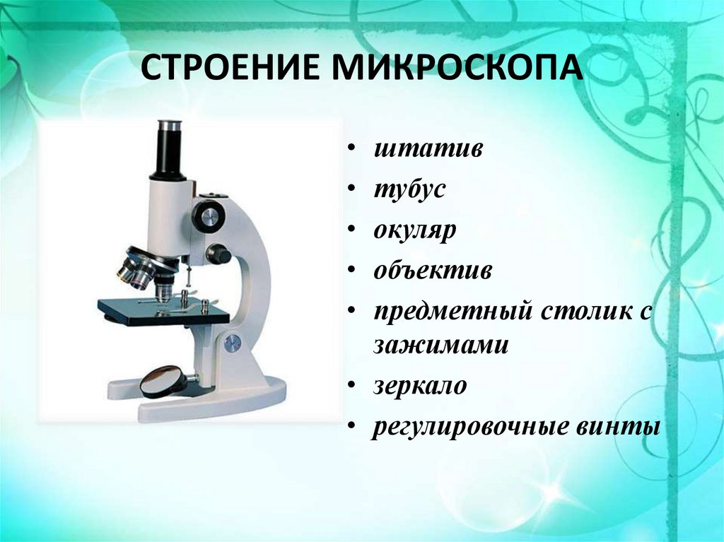 Строение цифрового микроскопа 5 класс биология рисунок с подписями впр