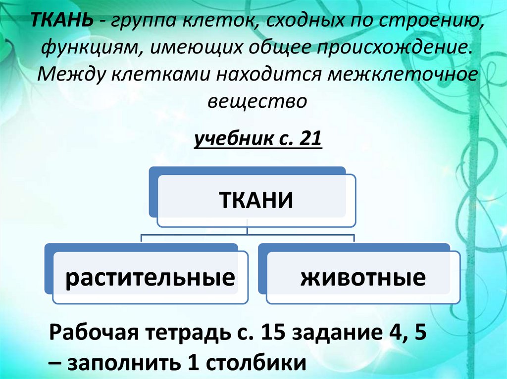 Клетки сходны по строению выполняемые