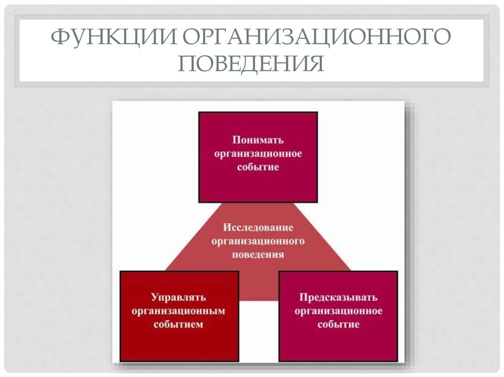 Пример организационной функции