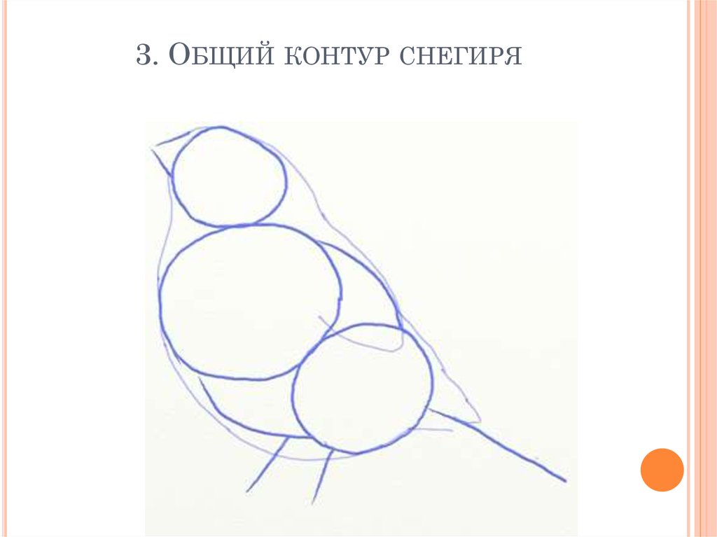 Снегирь рисунок поэтапно. Этапы рисования снегиря для детей. Рисование 1 класс Снегирь. Поэтапное рисование снегиря для дошкольников. Схема рисования снегиря в старшей группе.