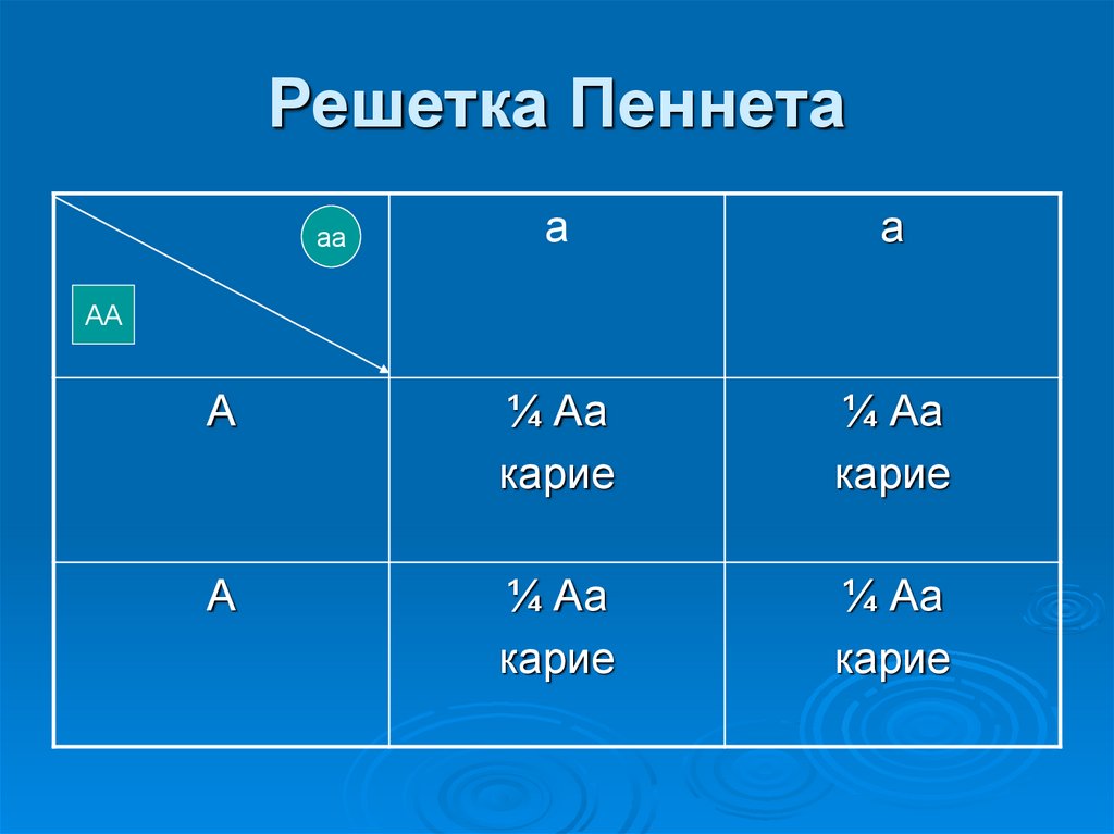 Схема построения решетки пеннета