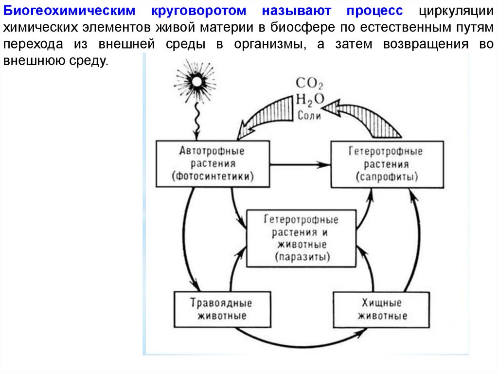 Фф большой круговорот. Биогеохимический круговорот веществ в природе. Круговорот биогенных элементов в биосфере схема. Глобальный биогеохимический круговорот вещества.. Биогеохимический цикл (круговорот веществ).