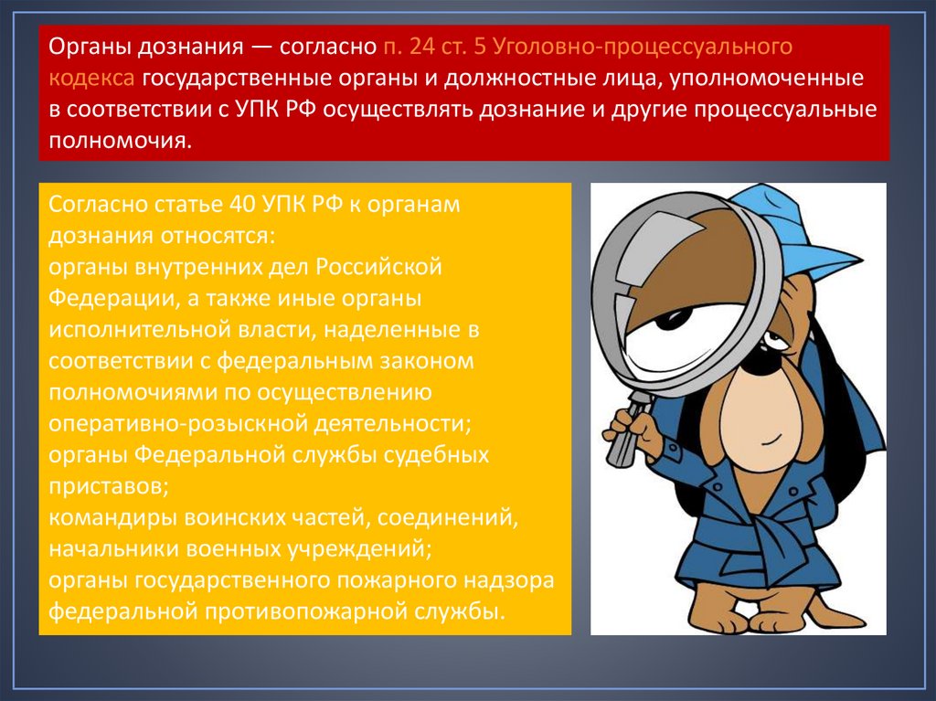 Дознание в уголовном процессе презентация