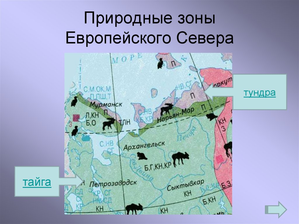 Распределите природные зоны севера россии. Карта природных зон европейского севера. Карта почв европейского севера. Природные зоны европейского севера.