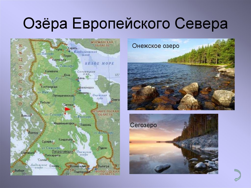 Река европейской части россии соединяющая ладожское озеро. Озера европейского севера на карте. Онежское озеро на карте европейского севера. Озера европейского севера России.