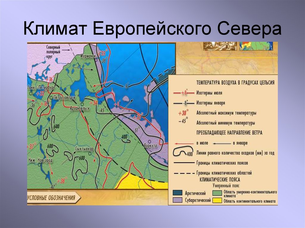 Европейского севера план описания