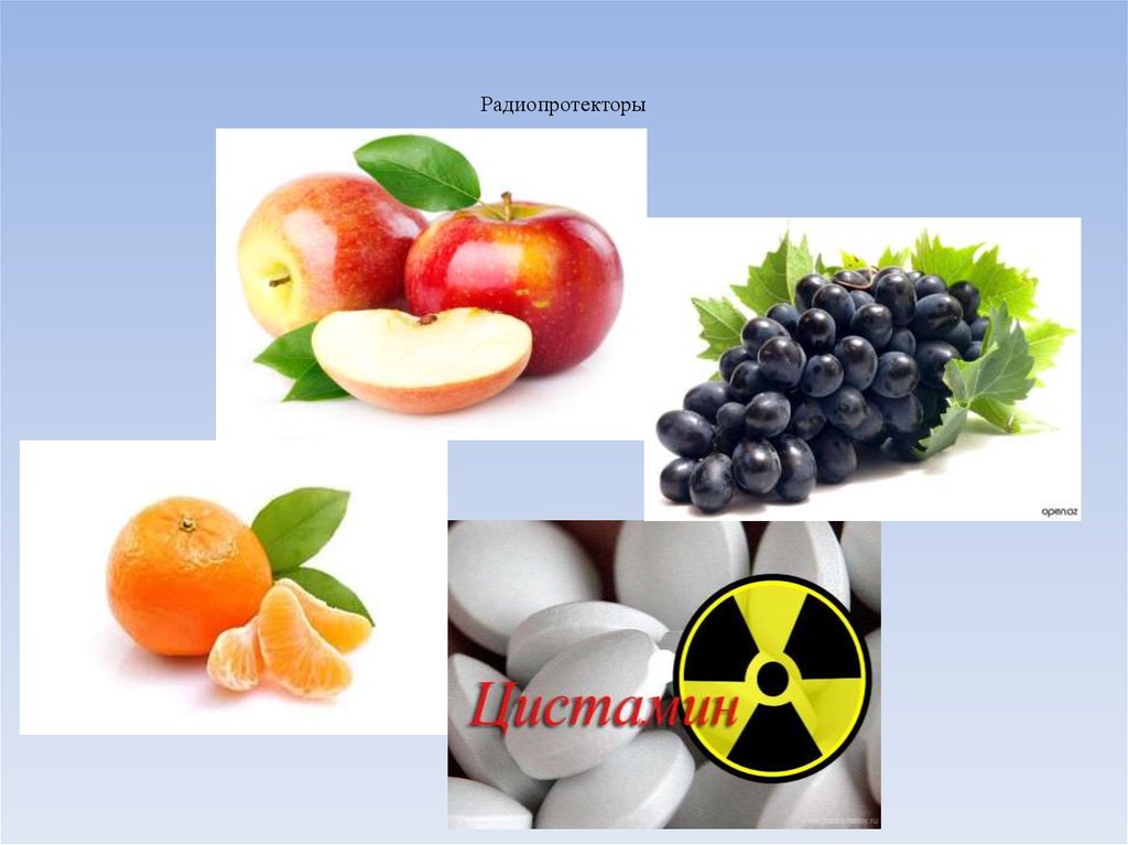 Радиопротекторы