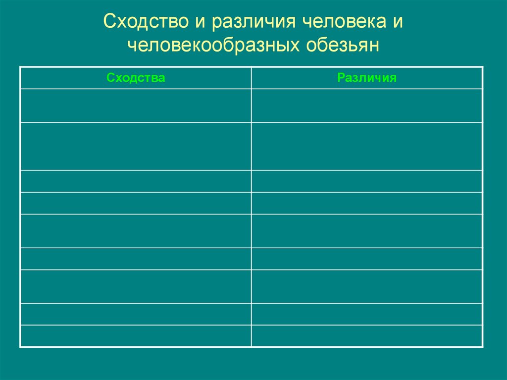 Черты сходства и различия человека