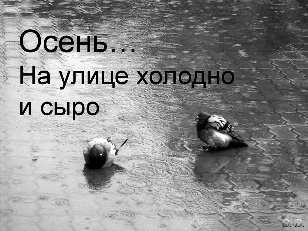 На улице холодно. На улице холодно осень. Холодно и сыро. Сыро и холодно картинки. Холодно на улице.