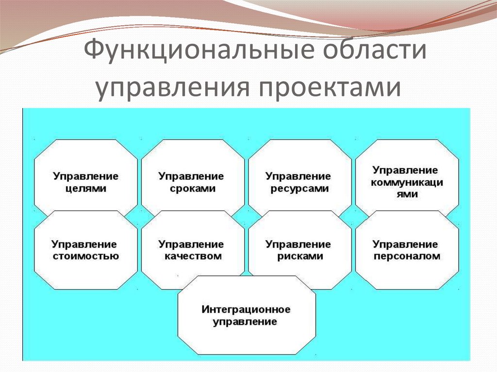 Что такое область проекта