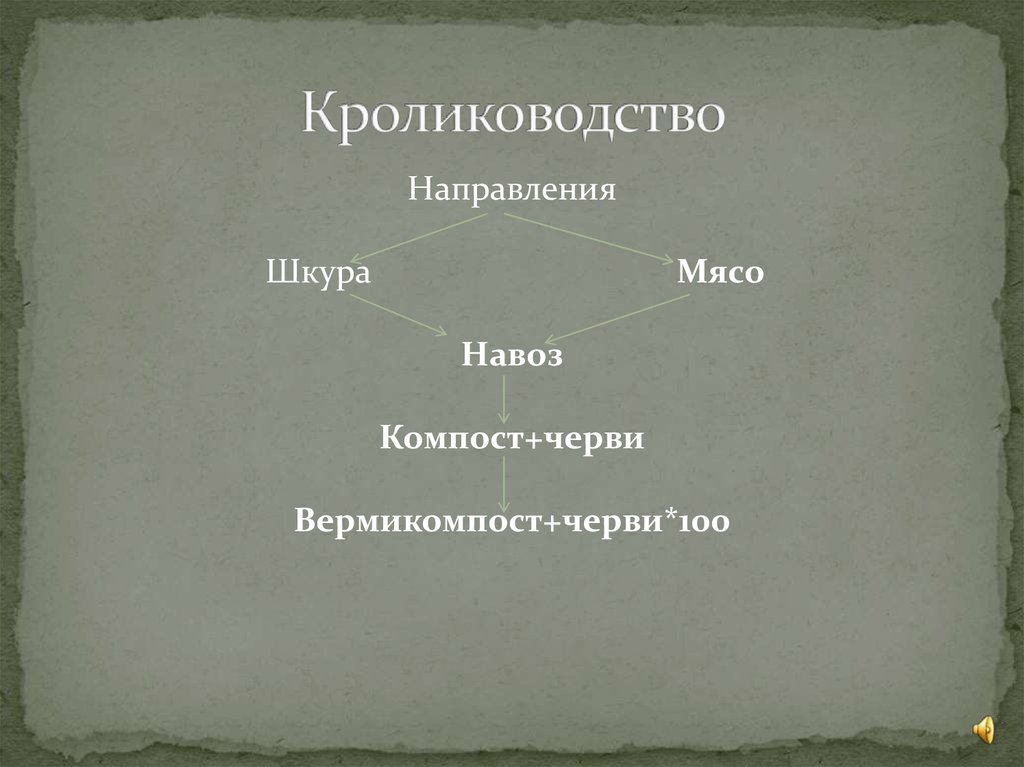 Кролиководство