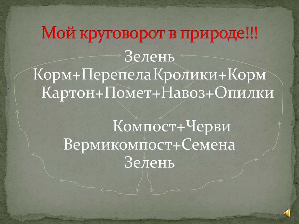 Мой круговорот в природе!!!