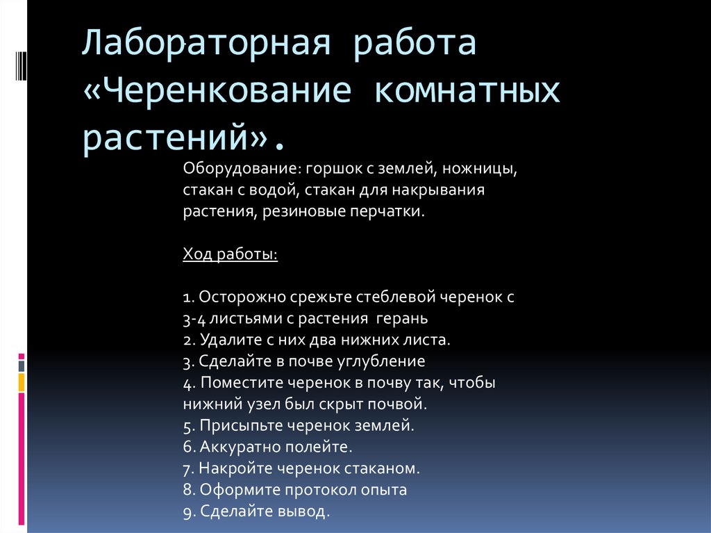 Проект по биологии 6 класс черенкование комнатных растений