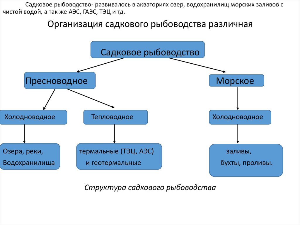 Схема садкового рыбоводного хозяйства