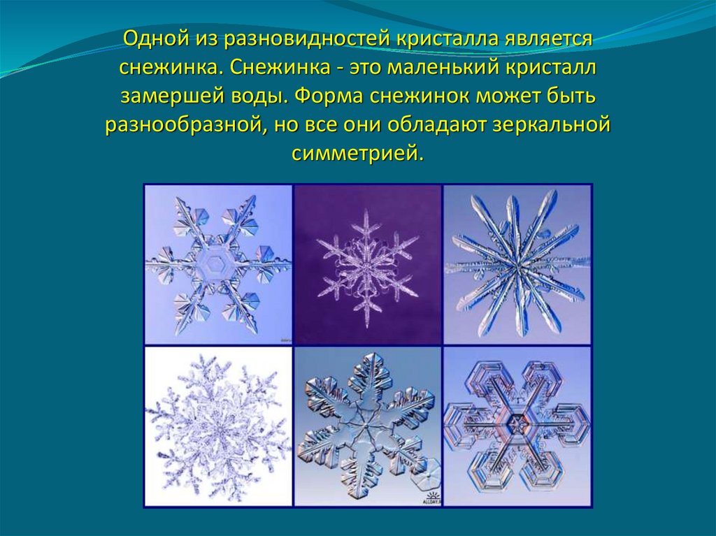 Симметрия в природе презентация 2 класс