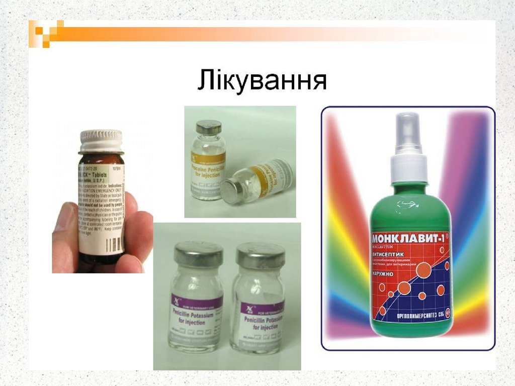 Актиномікози. Збудник - презентация онлайн