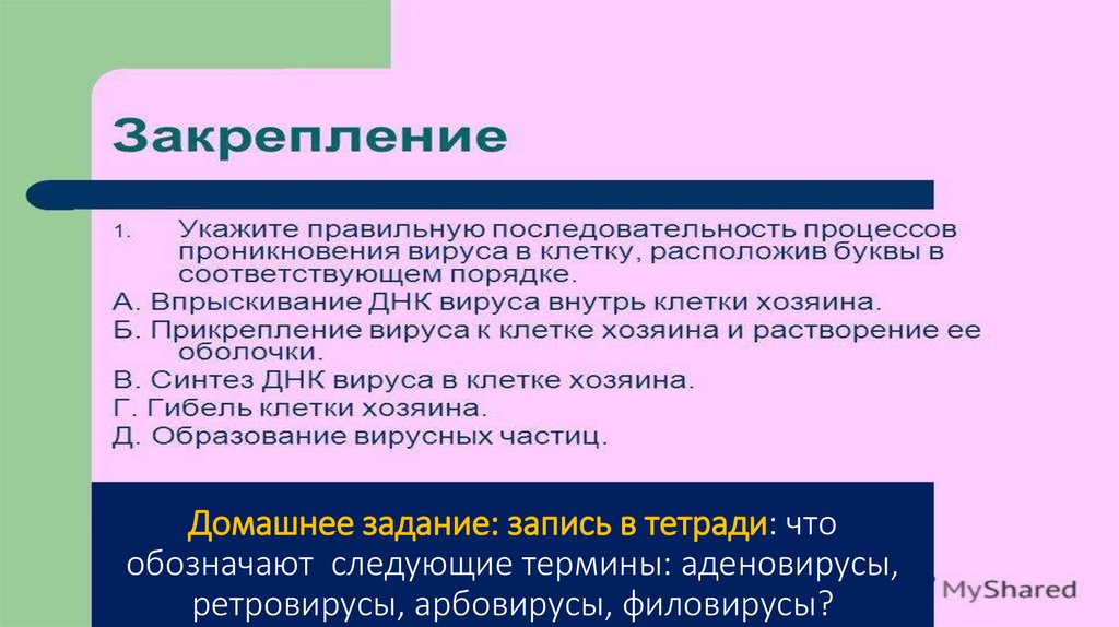 Домашнее задание: запись в тетради: что обозначают следующие термины: аденовирусы, ретровирусы, арбовирусы, филовирусы?