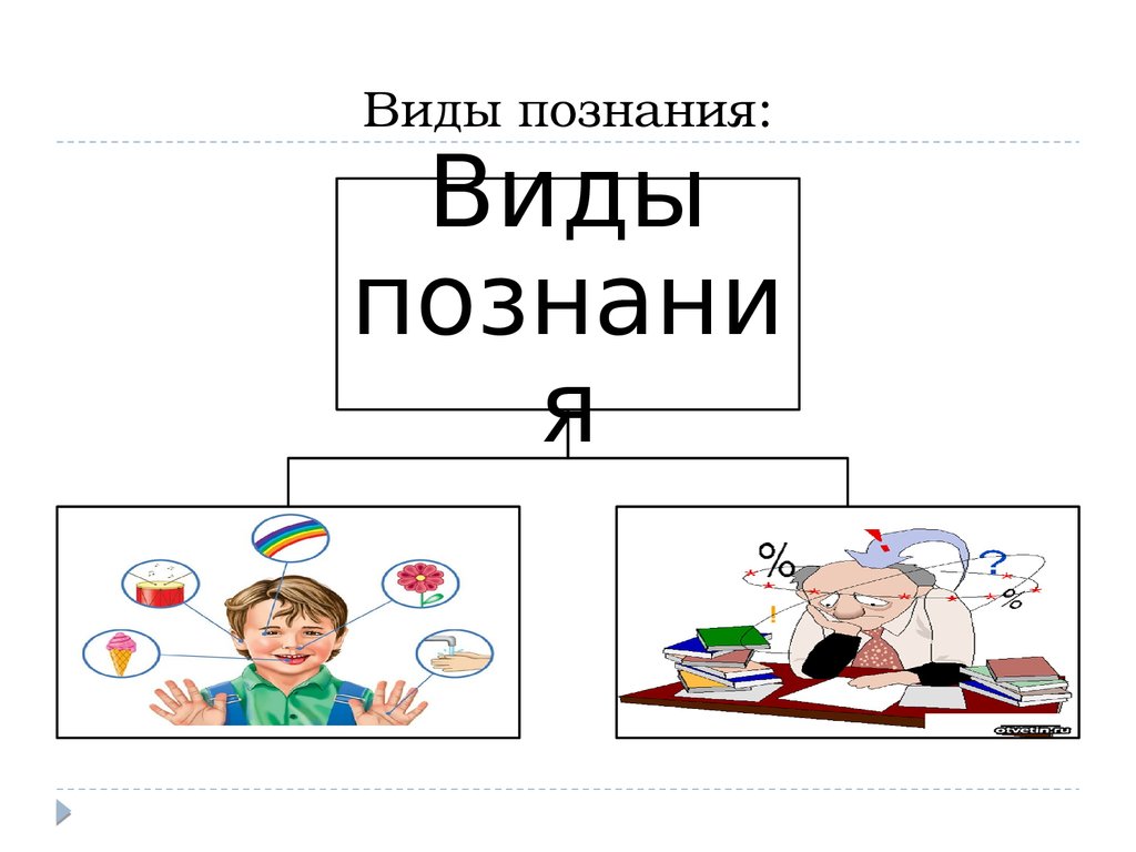 Иллюстрация видов знаний. Виды знаний картинки. Виды познания картинки. Виды познания Трудовое. 2 Типа познания.