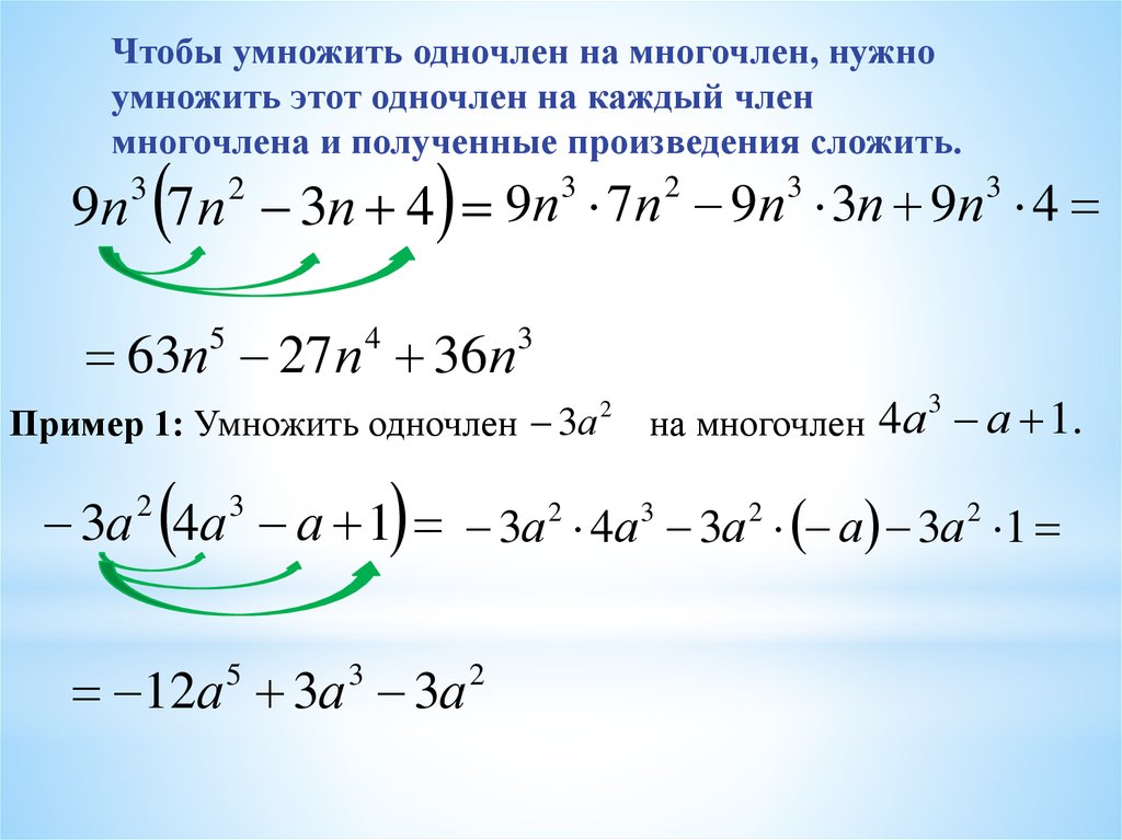 Презентация многочлены и одночлены