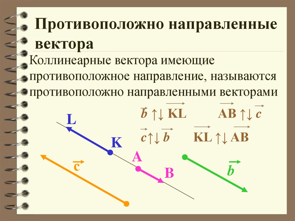 Противоположные векторы фото