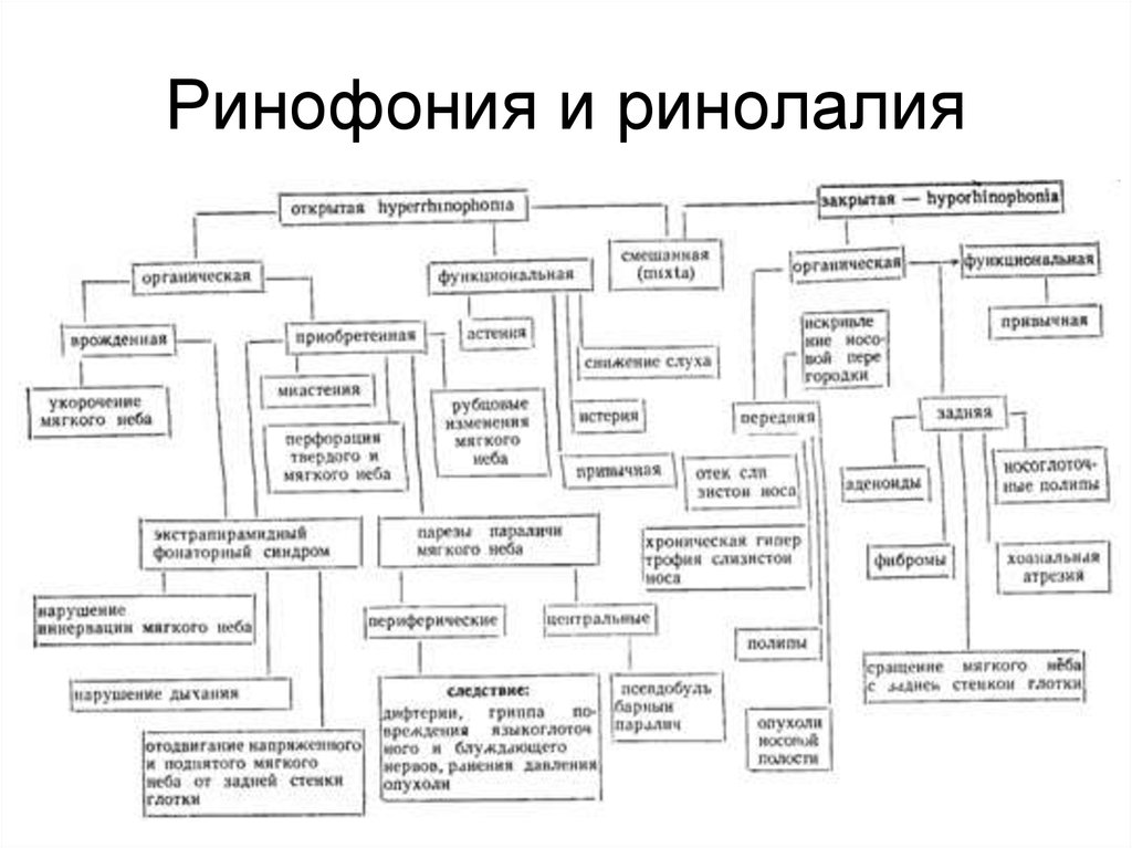 Классификация ринолалии схема